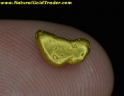 1.02 Gram Tuolumne California Gold Nugget 