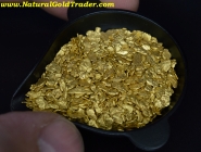 1 ozt. 31.1 Grams of California Placer Gold