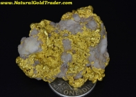 42.38 Gram Helena Montana Gold & Quartz