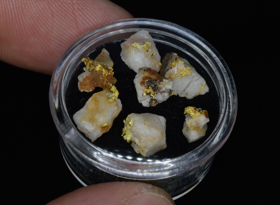 2.30 Grams (7) El Dorado CA Gold Specimens