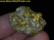30.39 G. Mormon Basin Oregon Gold Specimen