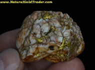 34.73 Gram Folsom California Gold & Quartz