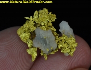 2.35 Gram Canyon City Oregon Gold Specimen