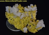 8.56 Gram John Day Oregon Gold Specimen