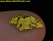 1.19 Gram Dawson City Yukon Gold Nugget