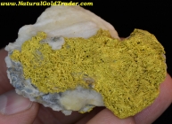 74.05 Gm. OR. Dendritic Crystals Gold Specimen