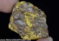 60.1 Gram Arizona Gold & Quartz Specimen