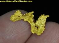 1.02 Gram Natural California Gold Specimen