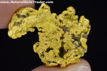 17.11 Gram Nevada Gold Nugget