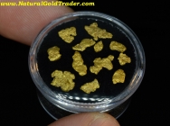 1.97 Grams (12) Park County CO Gold Nuggets