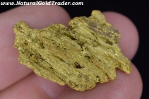 15.03 Gram Nevada Gold Nugget