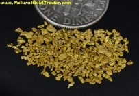 1.18 G. Dalton Mountain MT. Placer Gold 