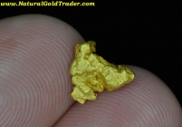 .98 Gram Mohave County Arizona Gold Nugget