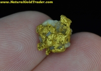 2.65 Gram Murray Idaho Gold Nugget with Quartz