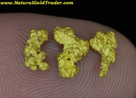 1.02 Grams (3) Humboldt Co. Nevada Gold Nuggets