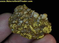 29.83 Gram El Dorado California Gold & Quartz