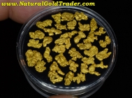 12.49 G. (35) Helena MT. Natural Gold Nuggets