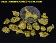 11.20 G (17) Fairbanks Alaska Gold Nuggets
