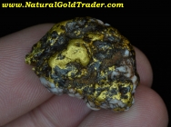22.25 G Folsom CA. Gold Quartz Magnetite Speci