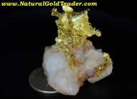 16.92 G. El Dorado CA. Leaf Gold Specimen