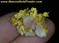 6.65 Gram El Dorado California Gold Specimen 