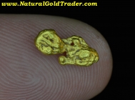 1.05 Gram Natural CA. Placer Gold Nugget