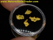 1.13 Grams (4) Nevada Winnemucca G. Nuggets
