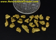 1.40 G (20) Humboldt Co. Nevada Gold Nuggets