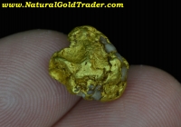 3.39 G Silver Valley ID. Gold Nugget with Quartz
