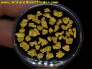 .25 ozt+ 7.85 Grams (41) N. Nevada Gold Nuggets