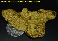 61.97 Gram Humboldt Nevada Gold Nugget