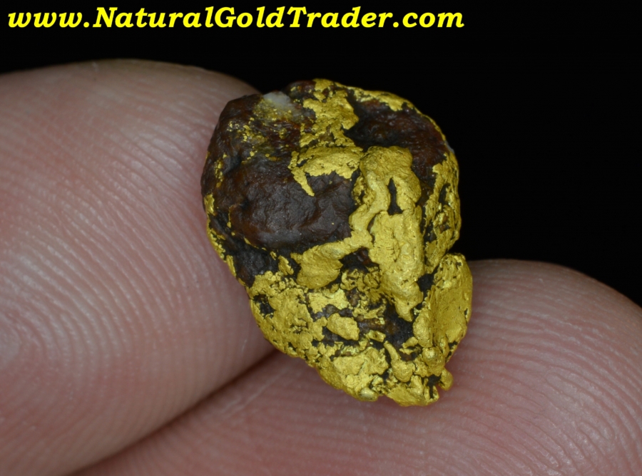 3.54 Gram Coloma California Gold & Quartz Nugget