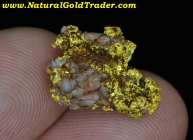 4.40 Gram Coloma CA. Coarse Gold Specimen