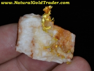11.89 Gram California Gold & Quartz Specimen