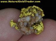3.23 Gram El Dorado California Gold & Quartz