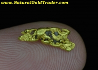 .69 Gram Fairbanks Alaskan Gold Nugget