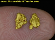 .99 Grams (2) Natural Montana Gold Nuggets