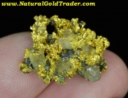 10.51 Gram Diltz Mine California Gold Specimen