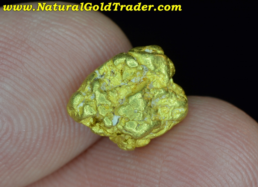 2.74 Gram Gold Creek Montana Gold Nugget