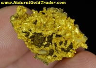 8.98 Gram Latrobe CA. Knockout Gold Specimen