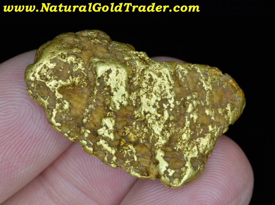24.53 Gram Murray Idaho Natural Gold Nugget with Quartz