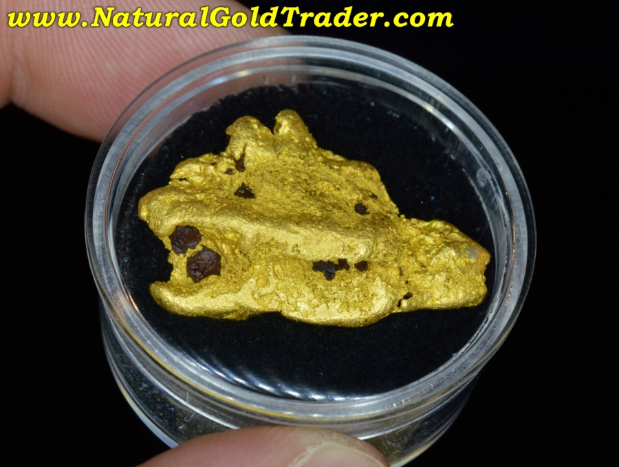 Pure Gold Nuggets
