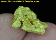 5.48 Gram Yuma Arizona Natural Gold Nugget