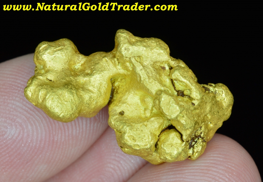 26.51 Gram Humboldt County Nevada Gold Nugget