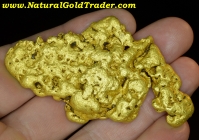 176.9 Gram El Carrizo Mexico Gold Nugget