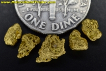 1.96 Grams (5) Northern Nevada Gold Nuggets