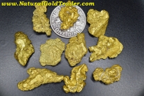 1 Ozt.+ 31.75 Grams (10) Alaska Gold Nuggets