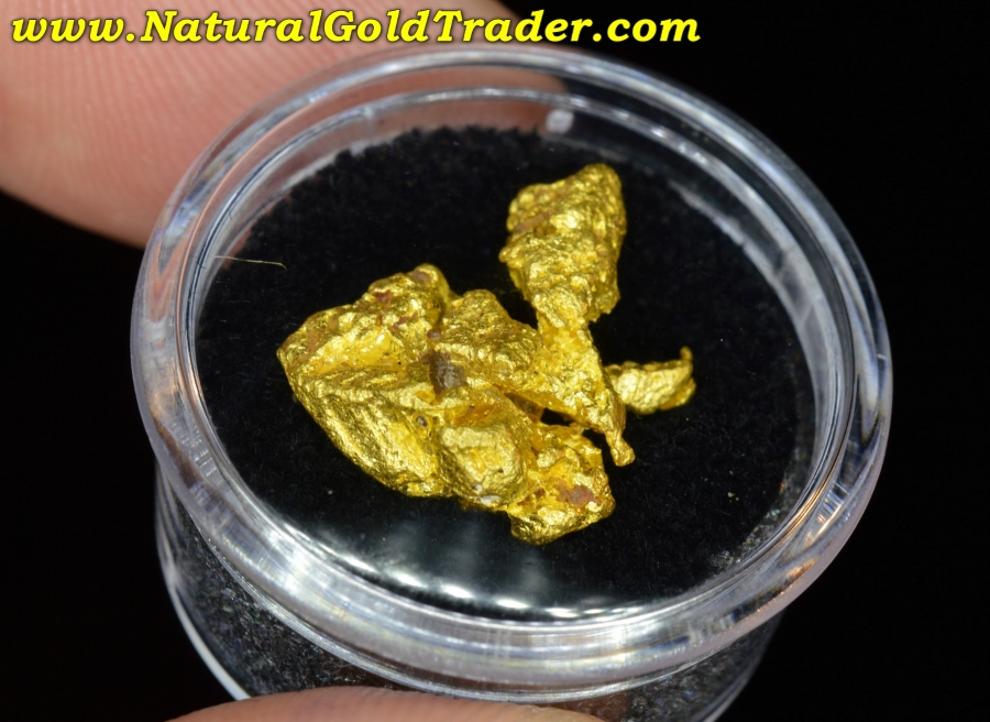 10.49 Gram Alta Floresta Brazil Crystallized Gold Specimen