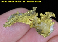 4.52 Gram 16 to 1 Mine CA. Gold Specimen