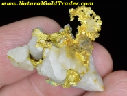 8.20 Gram 16 to 1 Mine CA. Gold & Quartz